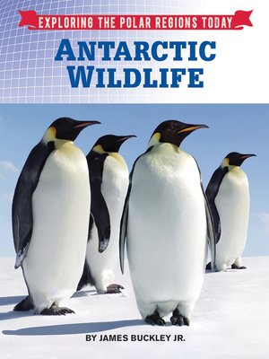 cover image of Antarctic Wildlife